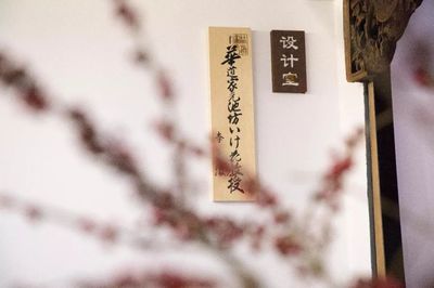 一日僅售五盒！這家空間的高品質茶果子，顏值高到讓人舍不得入口